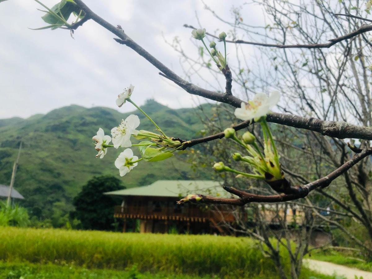 Wild Orchid- Lan Home Làng Cac Екстериор снимка