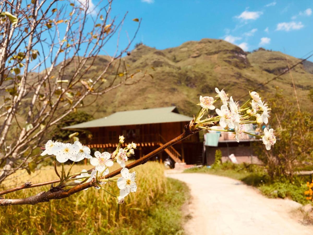 Wild Orchid- Lan Home Làng Cac Екстериор снимка